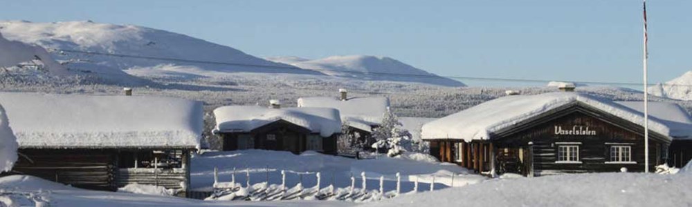 Vasetstølen Header